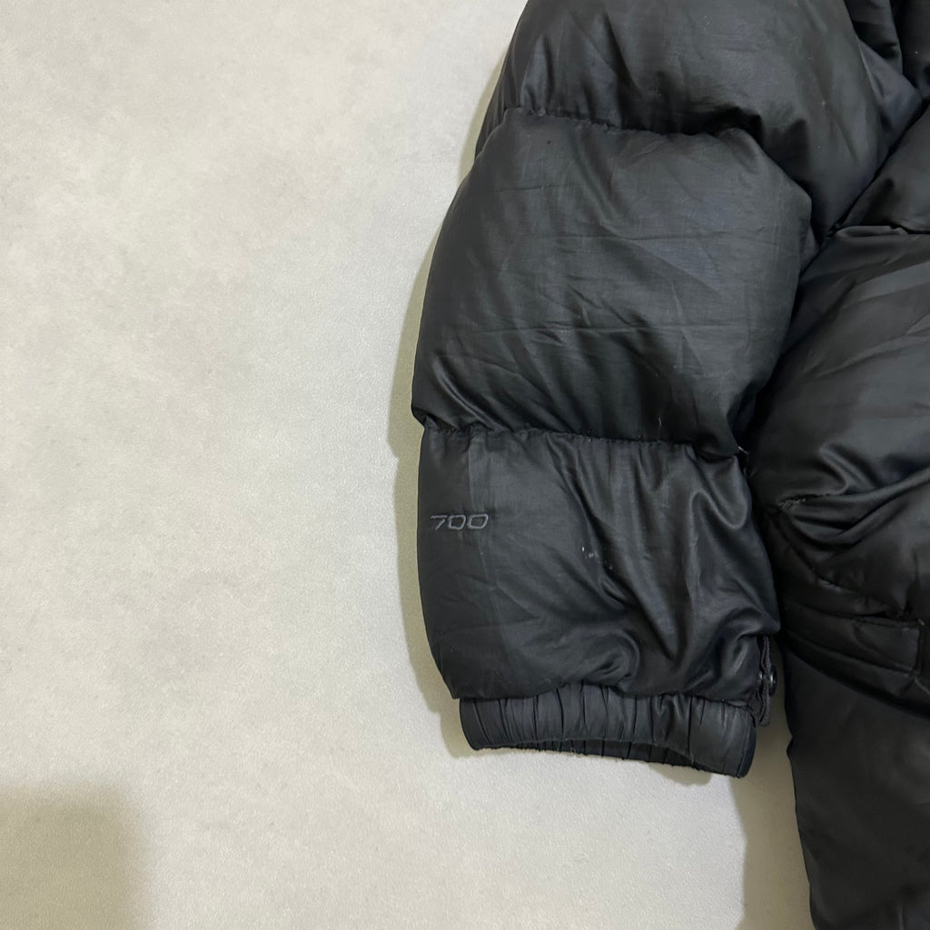 The north face 700 down jacket