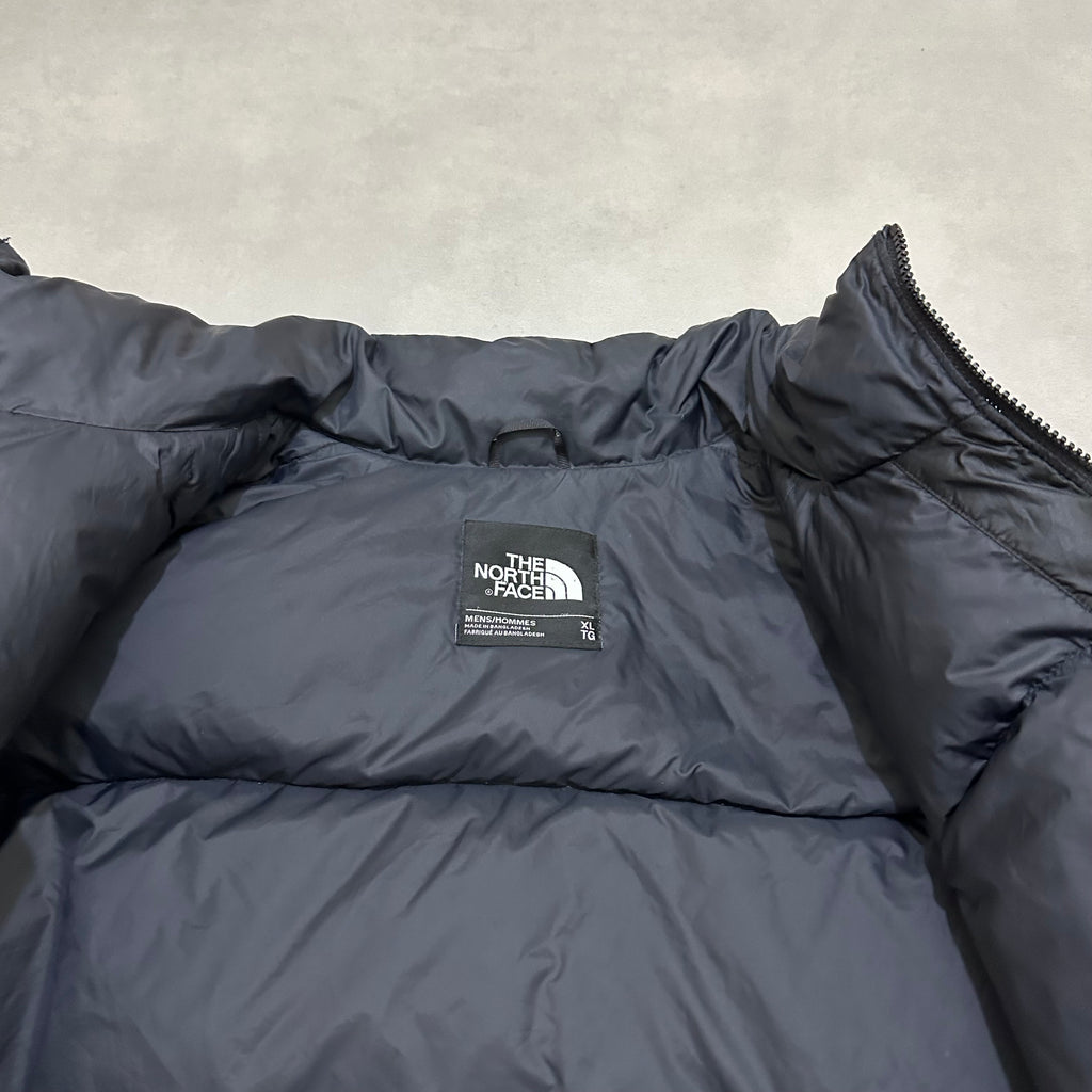 The north face 700 down jacket