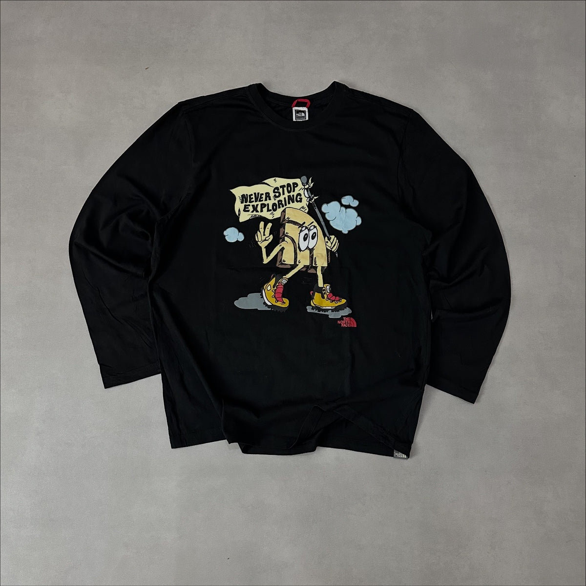 The north face long sleeve shirt