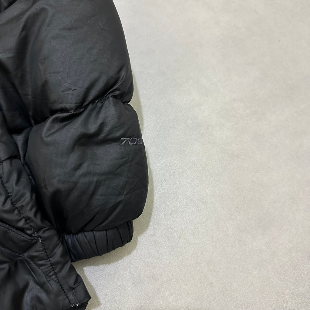 The north face 700 down jacket