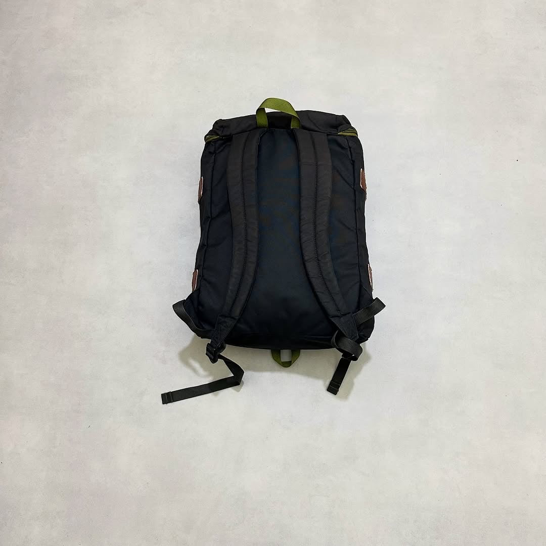 Patagonia tormiro 22L backpack
