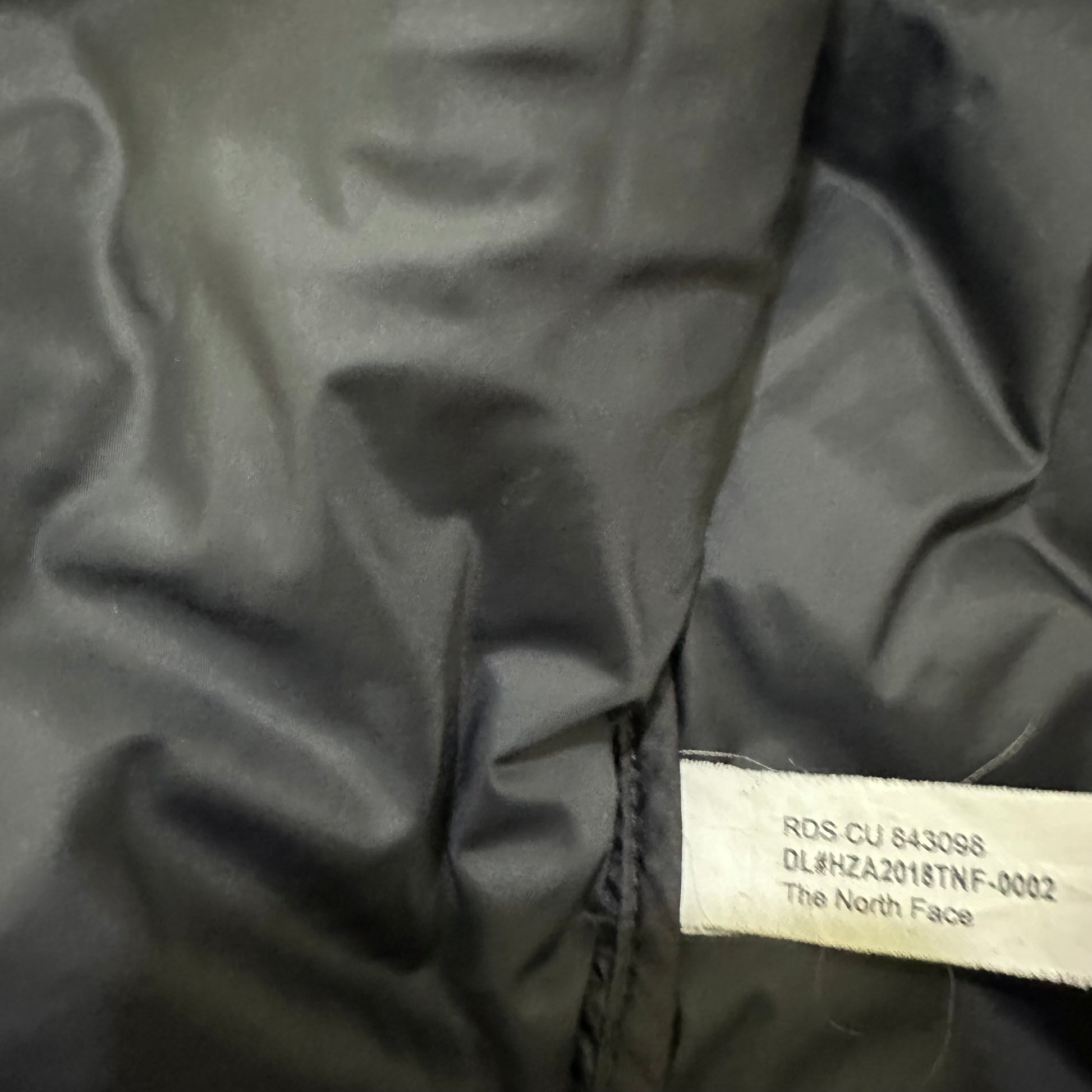 The north face 700 down jacket
