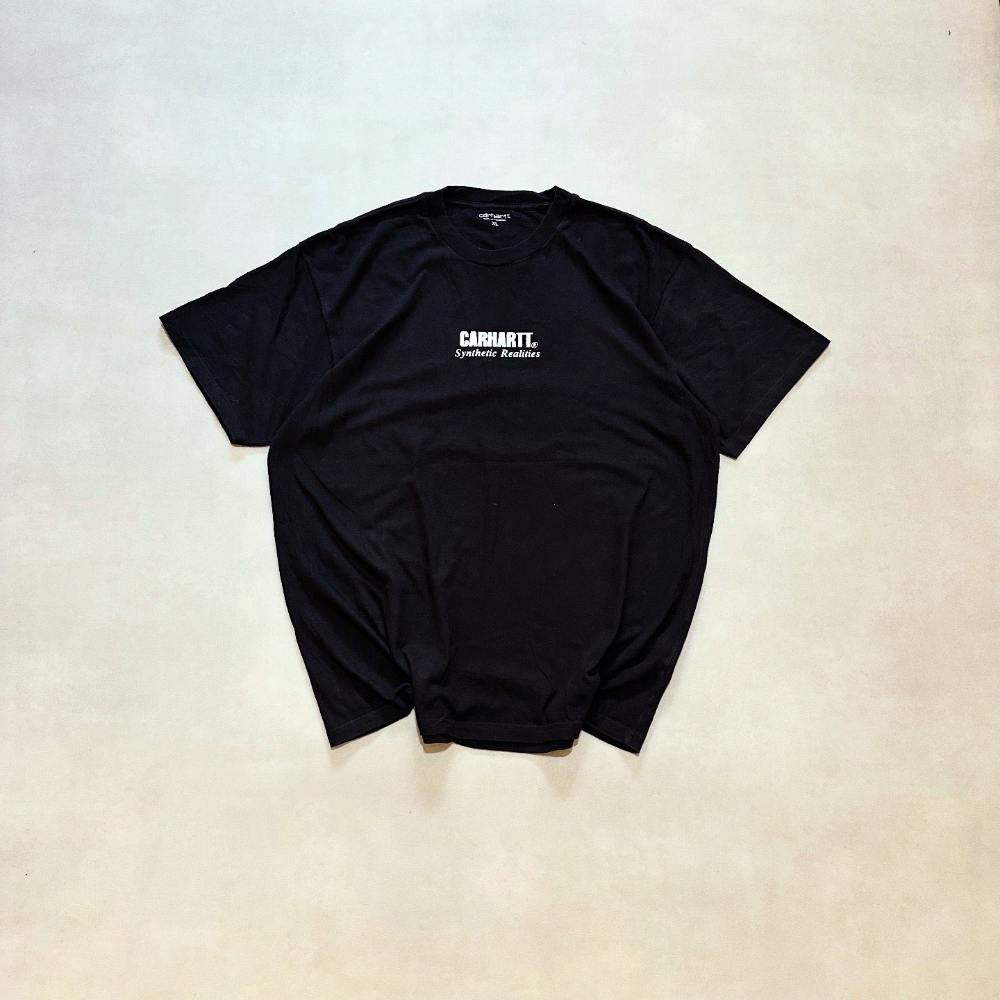 Carhartt WIP synthetic realities backprint t-shirt in black
